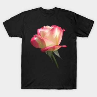 wonderful pink rose, roses, flower, blooms T-Shirt